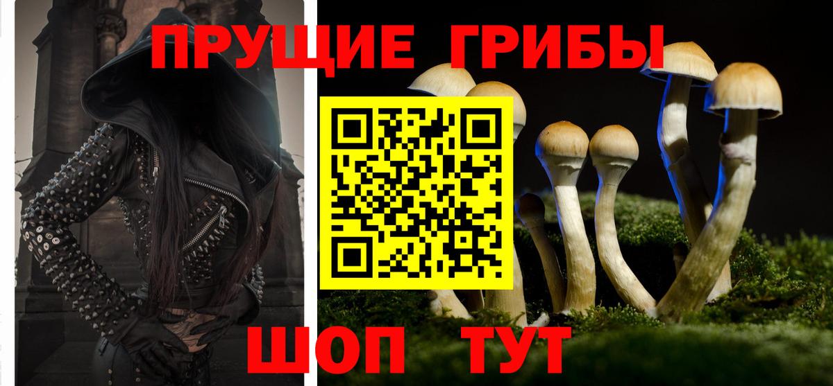 Псилоцибиновые грибы GOLDEN TEACHER  Вход с VPN  Магнитогорск  Галлюциногенные грибы Cubensis 